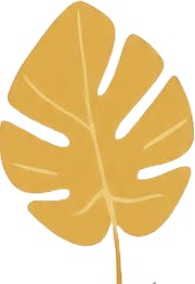 a yellow leaf with a white background.jpg